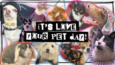 Woof, woof! It’s ‘Love Your Pet Day’!